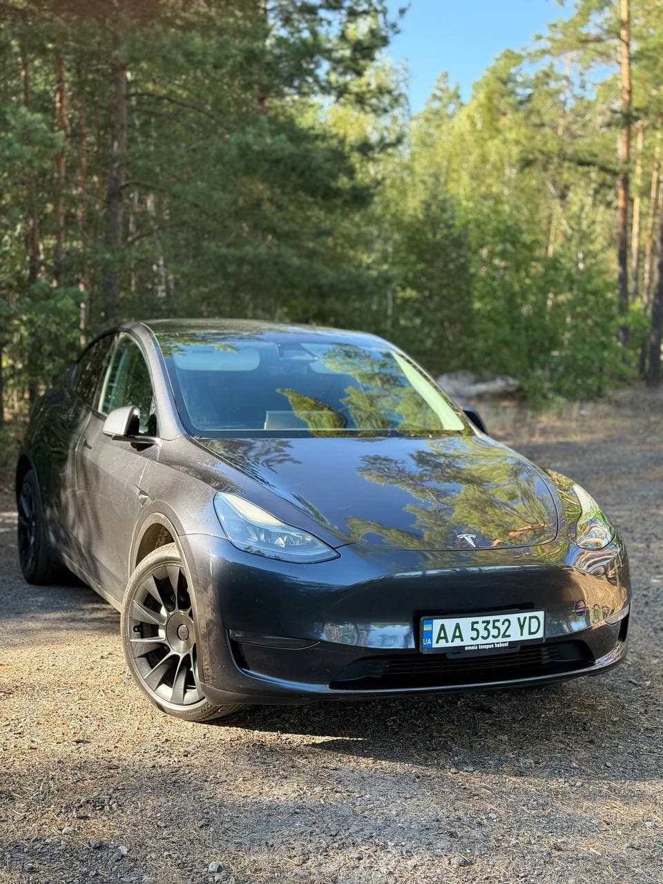 Tesla Y — фото 2